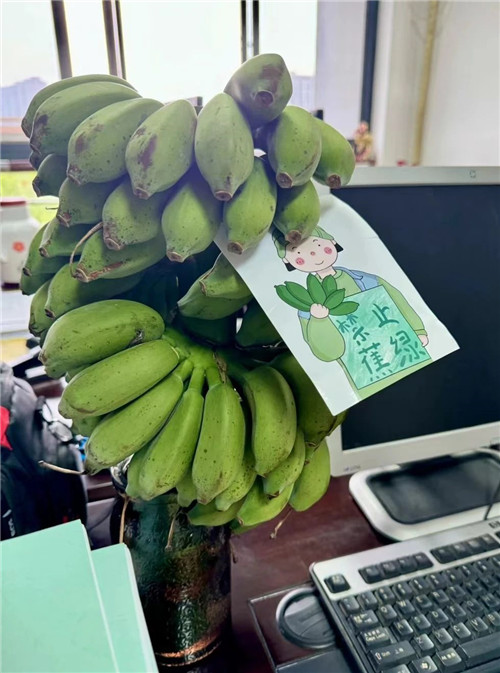 微信图片_20240506084308.jpg 微信图片_20240506084308.jpg