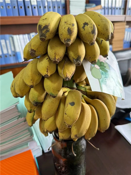 微信图片_20240506084356.jpg 微信图片_20240506084356.jpg