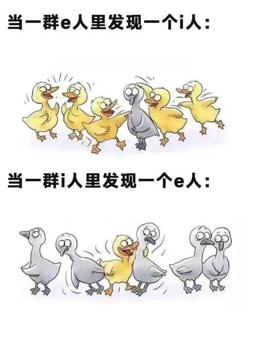 图片 3.png 图片 3.png