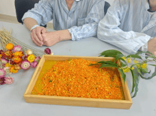截图20261016153125 (1).png 截图20261016153125 (1).png